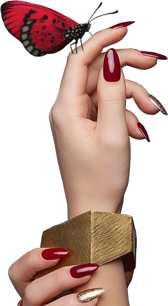 Unas manos con las uñas pintadas y una mariposa posando en ellas.